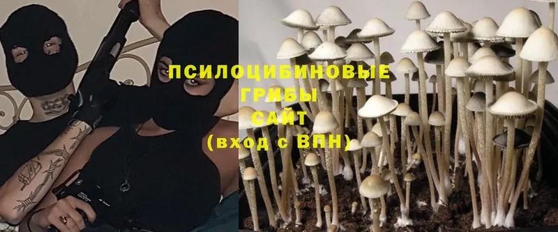 Галлюциногенные грибы Magic Shrooms  Давлеканово 